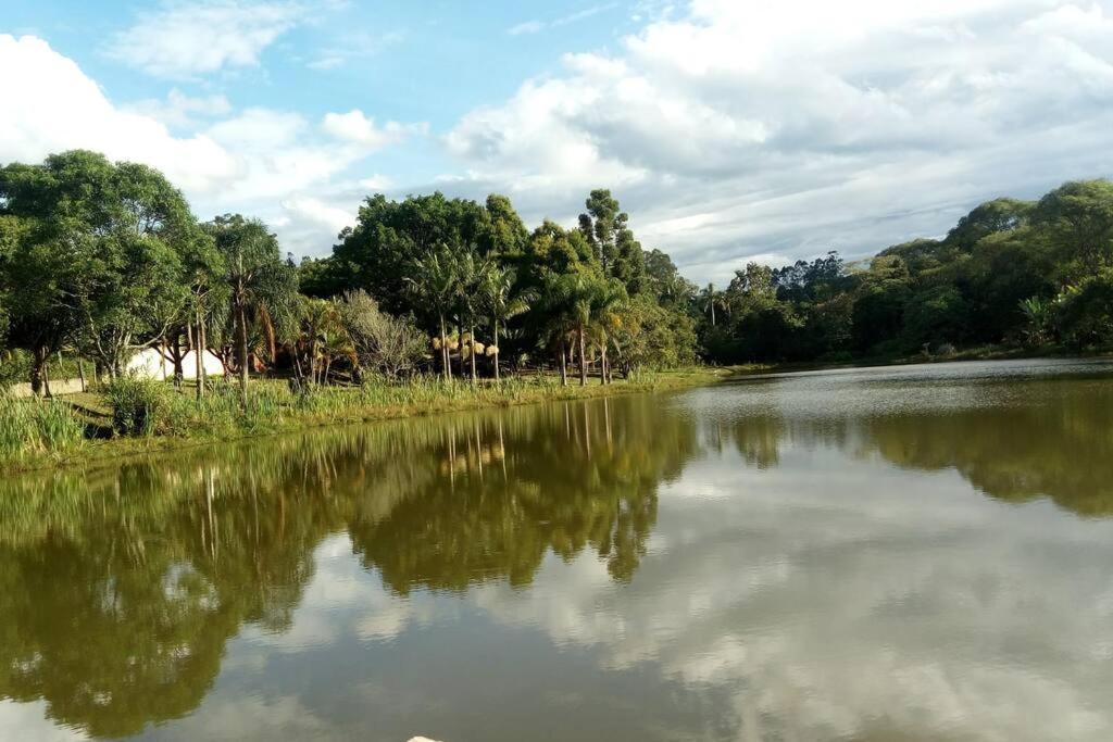 Casa Perto Animalia *